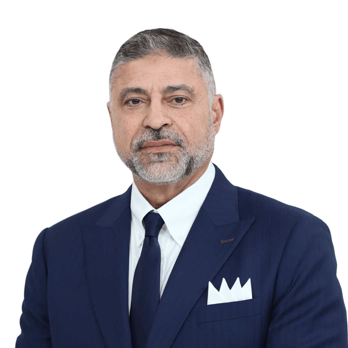 Wael Elkholy-Large.png